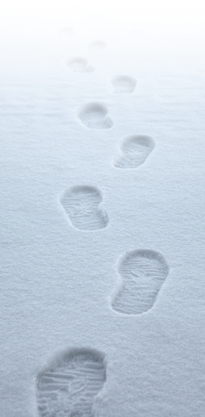 Arctic Footprint